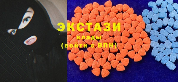 гашик Алексин