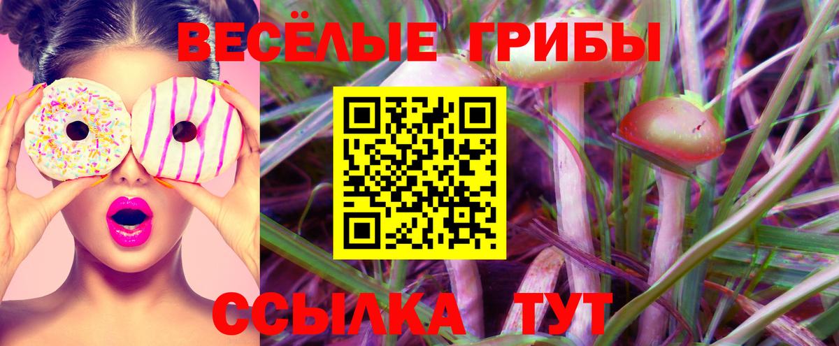 Псилоцибиновые грибы GOLDEN TEACHER Старая Купавна
